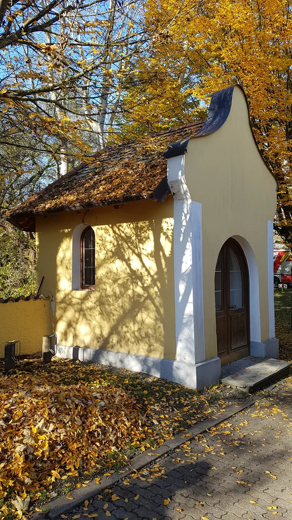 20201106_120505.jpg
