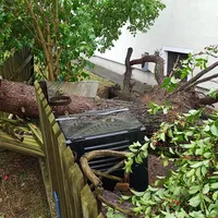 2023-06-21_baum_auf_pkw_07.jpg