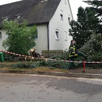 inked2023-06-21_baum_auf_pkw_08.jpg